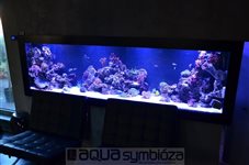 sl13